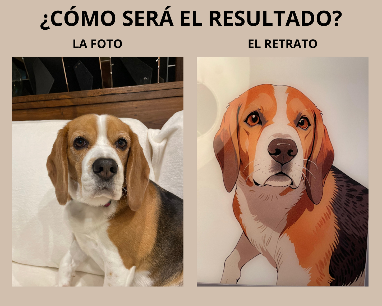 Cuadro Personalizable de Mascotas